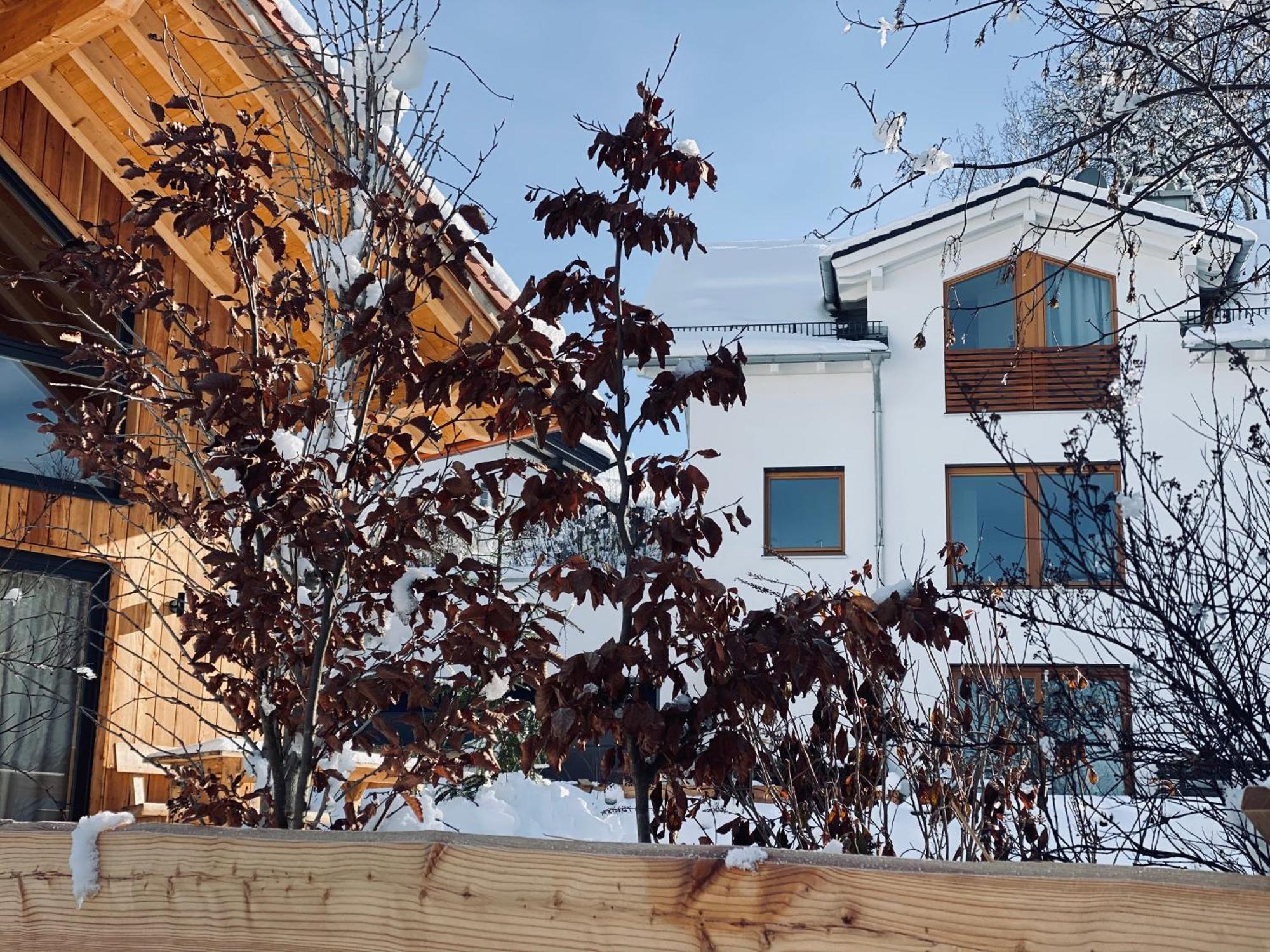 Schlossquelle Koenigsdorf Konigsdorf Εξωτερικό φωτογραφία